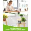 imageRAINPOINT Automatic Watering System for Potted Plants Automatic Plant Waterer with AutoManualDelay Watering ModeIndoor Plant Irrigation System with Pump for Vacation