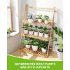 imageRAINPOINT Automatic Watering System for Potted Plants Automatic Plant Waterer with AutoManualDelay Watering ModeIndoor Plant Irrigation System with Pump for Vacation