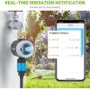 imageRAINPOINT Sprinkler Timer Bluetooth Water Timer Smart Wireless Hose Faucet Timer for Garden Irrigation System Controller APP Remote ControlBluetooth ConnectionBluetooth Connection