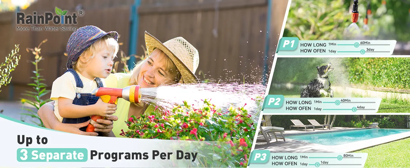 3 Watering Programs