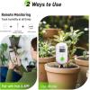 imageRAINPOINT Smart Digital Wireless Plant Moisture Meter Houseplant IndoorWiFi Hub NeededCapacitive ProbeLeavein Soil Hygrometer SensorRealtime Monitor Humidity Tester Outdoor GardeningTwoPack Set  Sensor Only