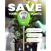 imageRAINPOINT Soil Moisture Meter for Plants  Accurate Plant Water Meter for Houseplants and Outdoor PlantsGardeningFarmingNo Batteries NeededGreenGreen