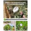 imageRAINPOINT Soil Moisture Meter for Plants  Accurate Plant Water Meter for Houseplants and Outdoor PlantsGardeningFarmingNo Batteries NeededGreenWhite