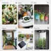 image:imageRAINPOINT BeginnerFriendly Automatic Plant Waterer Indoor for Pot Plant Adjustable Water OutputBattery Powered Outdoor IP54 Waterproof EasySetup Drip Irrigation System Device Kit Water 1015 Plants