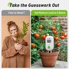 image:imageRAINPOINT Smart Digital Wireless Plant Moisture Meter Houseplant IndoorWiFi Hub NeededCapacitive ProbeLeavein Soil Hygrometer SensorRealtime Monitor Humidity Tester Outdoor GardeningSensor Only Pack
