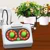 image:imageRAINPOINT EasySetup Automatic Plant Waterer Indoor for Pot Plant Adjustable Water OutputBattery Powered Outdoor IP54 Waterproof BeginnerFriendly Drip Irrigation System Device Kit Water 1015 PlantsRed